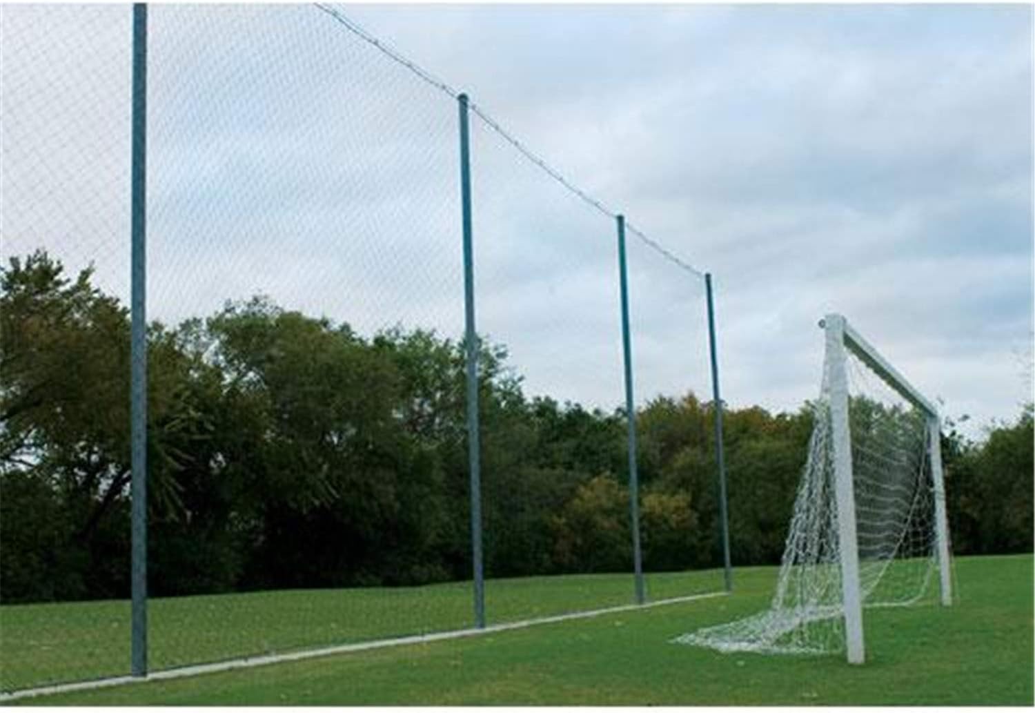 baseball backstop netting system