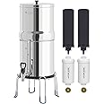 FACHIOO Gravity-Fed Water Filter System, 3.25G Stainless-Steel Countertop System with 2 Black NSF/ANSI 42 Certification Elements, 2 Fluoride, Metal Water Level Spigot, Reduces Fluoride and Chlorine