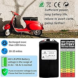 BtrPower 48V Ebike Battery 48V 18AH LiFePO4 Battery