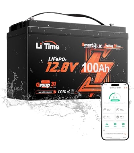 Amazon.com: 12V 100Ah LiFePO4 Lithium Battery, Built-in 100A BMS