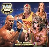 WWE Legends 2015 Wall Calendar by Acco Brands by 