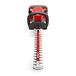 Snapper XD 82V MAX Cordless Electric Wood Bundle