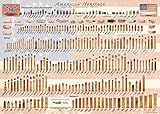 American Heritage Special Edition - Cartridge Poster