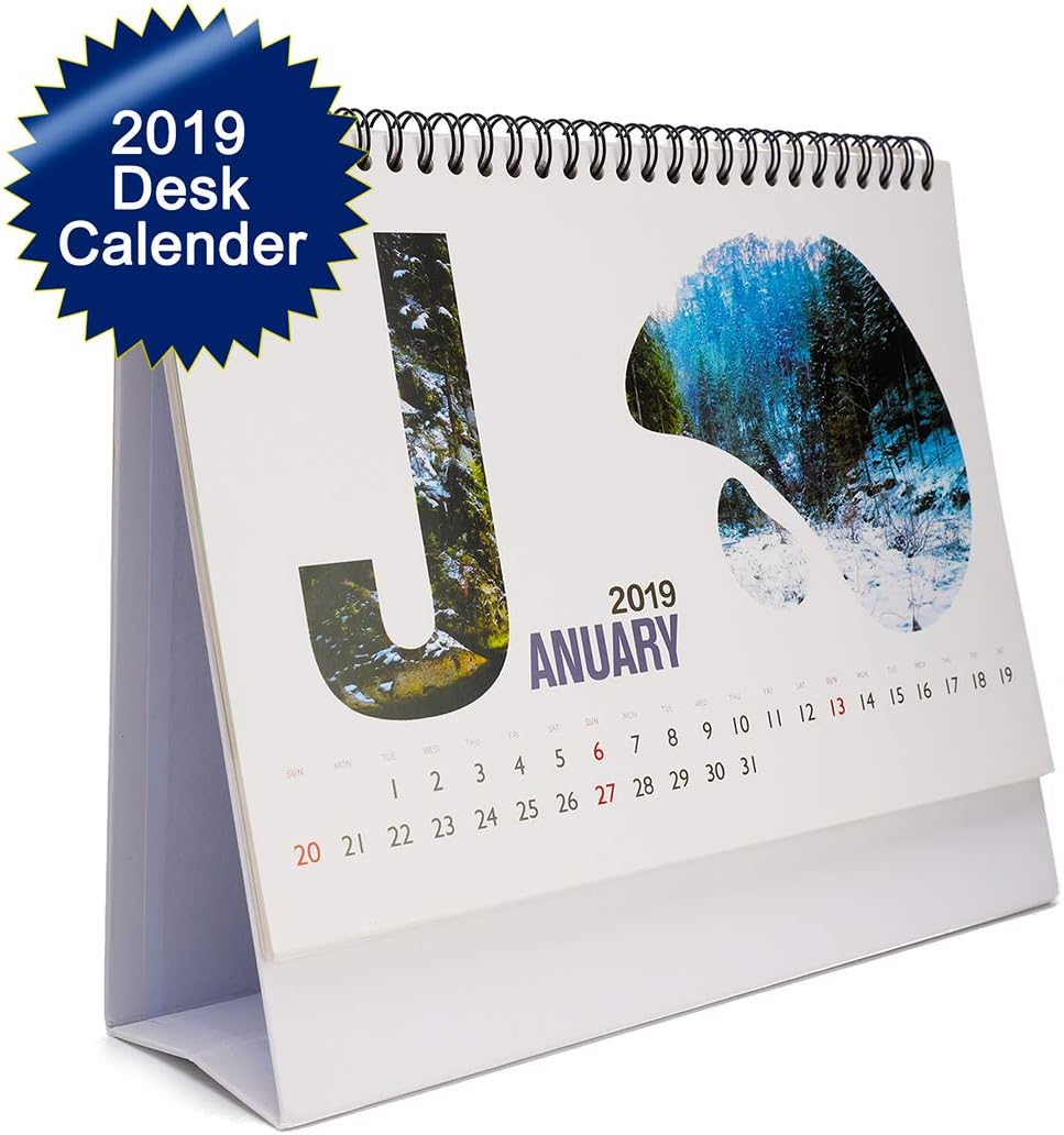 Eyxia 2019 Standing Desk Calendar Office Monthly Calendar Flip Planner Schedule Gift Book (2019 Colorful Calendar)