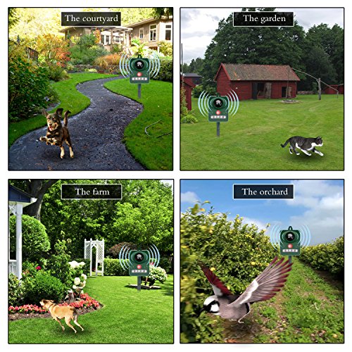 Cat Dog Squirrel Repellent Outdoor Ultrasonic,Solar Animal Fox Raccon Pest Rat Voles Rodent Pest Repellent Repeller Control