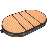 Donaldson P607557 Safety Oval Air Filter
