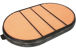 Donaldson P607557 Safety Oval Air Filter