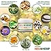 Hemp Oil for - Organic Cream 500mg Full Spectrum Extract Topical for Muscle Nerve Numbing Relieving Knee Joint Lower Back BOSWELLIA with Pure TUMERIC Arnica Enhanced MSM Aloe Vera 2OZ RUB