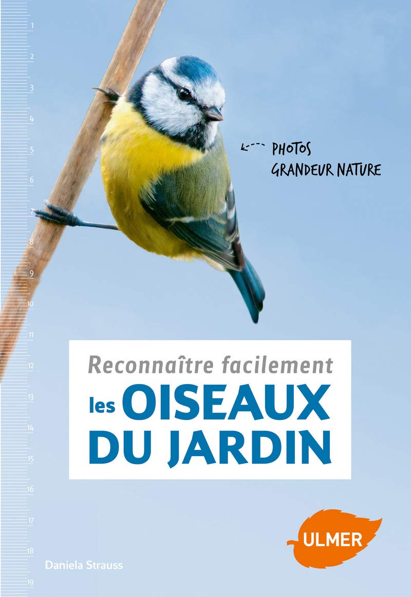 Reconnaître Facilement Les Oiseaux Du Jardin 9782841389483