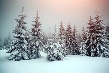 Sfondi Natalizi Innevati.Yongfoto 3x2m Vinile Fondali Fotografici Paesaggio Invernale Abeti Innevati Natura Natale Sfondi Foto Partito Studio Fotografico Puntelli Amazon It Elettronica