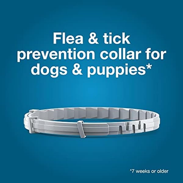 SERESTO SMALL DOG VET-RECOMMENDED FLEA & TICK TREATMENT & PREVENTION COLLAR FOR DOGS UNDER 18 LBS. | 8 MONTHS PROTECTION