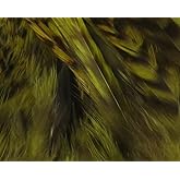 Hareline Fly Tying Strung Grizzly Variant Saddle Hackle &ndash; Barred Saddle Hackle Feathers for Fly Tying Streamers &amp; Wet Flies