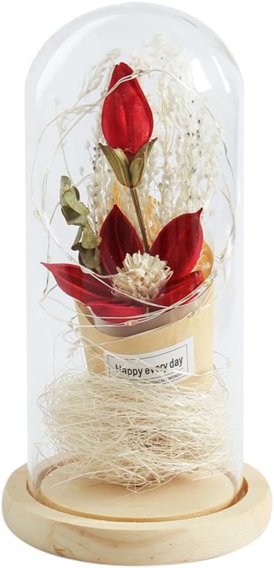 LEDMOMO Glass Dome Lamp Silk Lily Happy Everyday Light with LED String Preserved in Glass Dome on Wooden Base