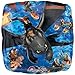 Mayflower Products New How to Train Your Dragon 5th Birthday Party Supplies and Balloon Decorations