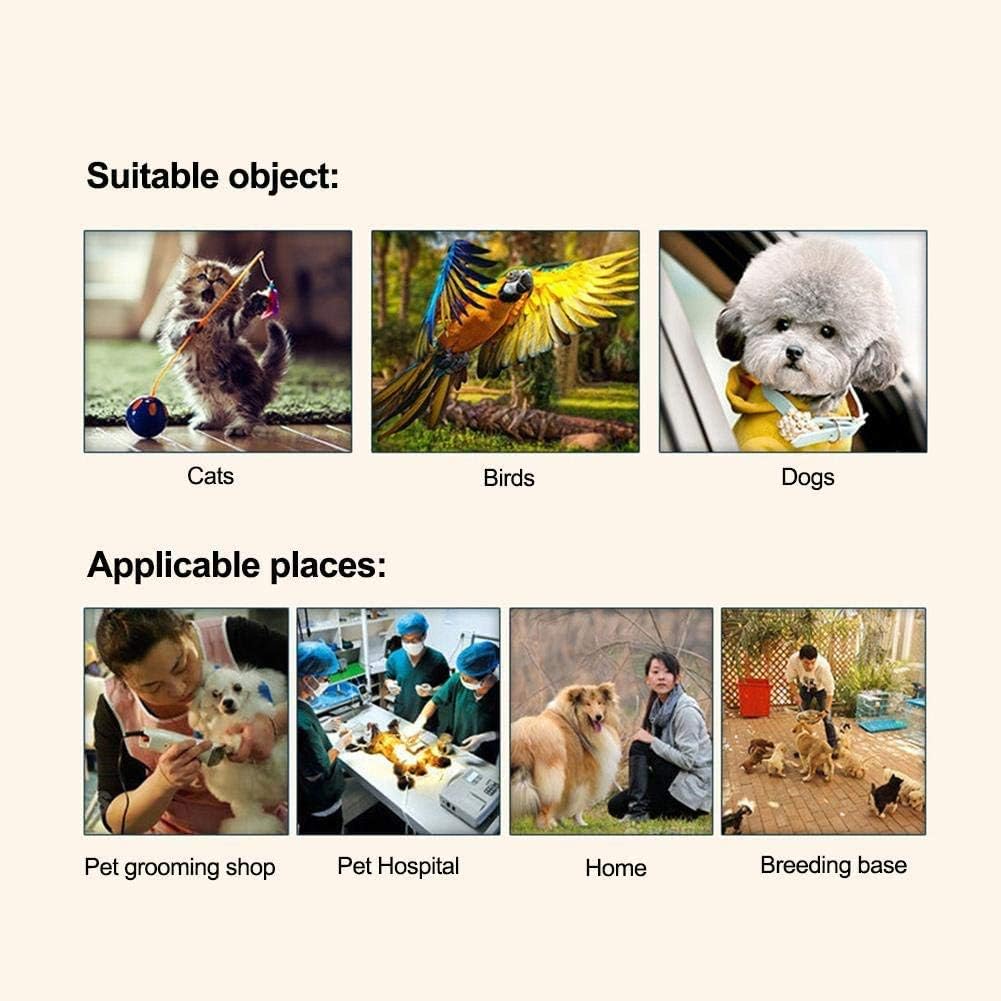 Amazon ペット止血 痛み止め 抗菌 犬 猫 および鳥用のペット用スティプティックパウダー ペット止血パウダー 犬止血パウダー 消毒パウダー 抗菌 鎮痛剤 外傷 ペット用品 Sweethess Pet 痛み止め 鎮静剤 通販