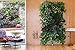 Prudance 4 Pockets Vertical Hanging Wall Garden Planter Grow Bags, Wall Mount Planter Grow Pockets for Flowers,Vegetables,Patio Wall Decor,Black, Large
