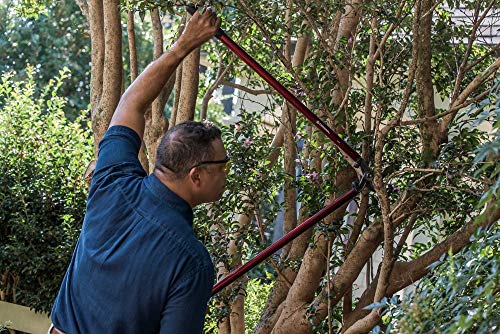 image for Corona Tools | 26-inch Branch Cutter MAXFORGED Orchard Loppers | Tree 