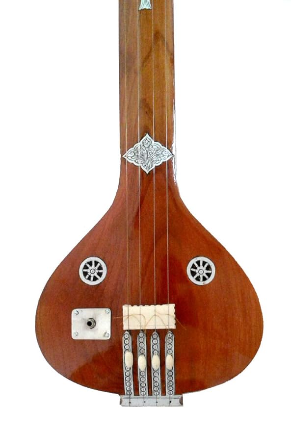 CLASSIC ACOUSTICELECTRIC INDIAN SAFARI INSTRUMENTAL