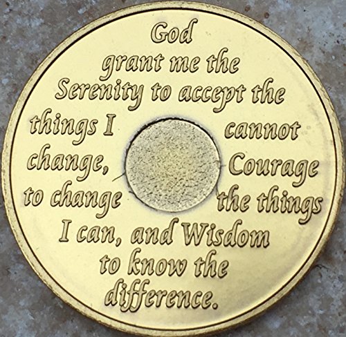24 Year AA Medallion Camo Gold Plated Anniversary Chip Camouflage Color