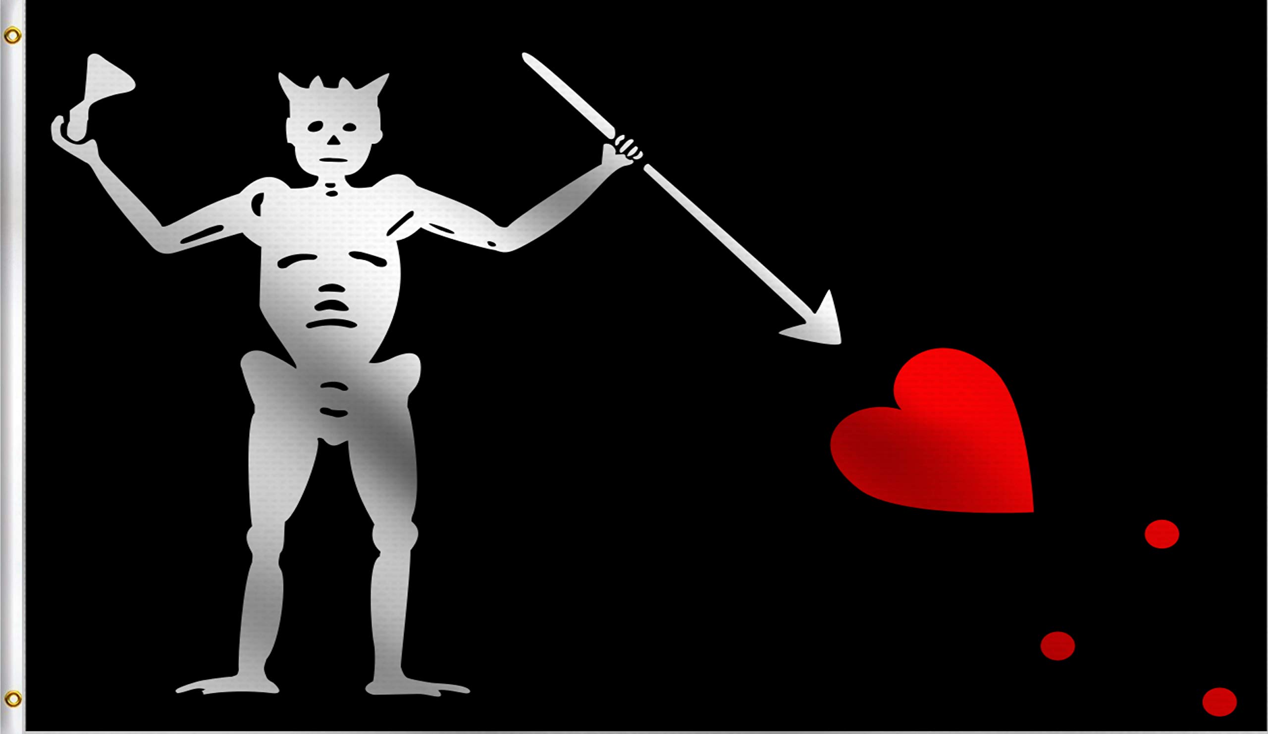 DMSE Black Beard Edward Teach Pirate Bloody Historical Piracy Queen Anne's Revenge Flag 3X5 Ft Foot 100% Polyester 100D Flag UV Resistant (3' X 5' Ft Foot)