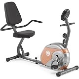 JEEKEE Recumbent Exercise Bike 