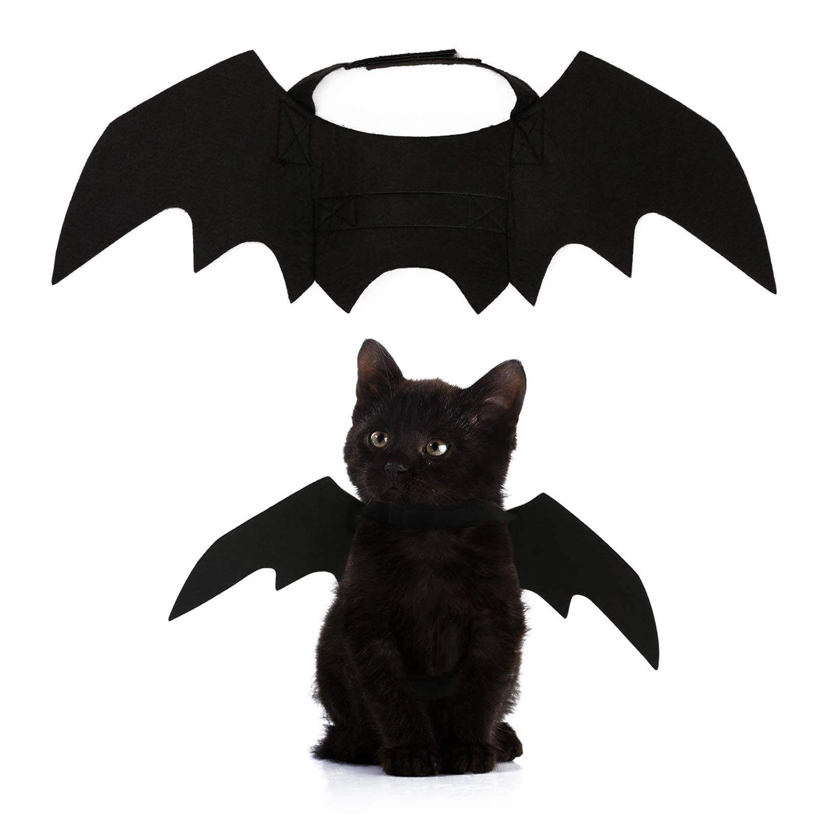 kitten bat costume