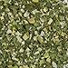Harmony House Foods Dehydrated Leek Flakes - Air Dried Vegetables for Soup and Cooked Dishes, Great for Camping, Survival, and Backpacking, 3 Ounces