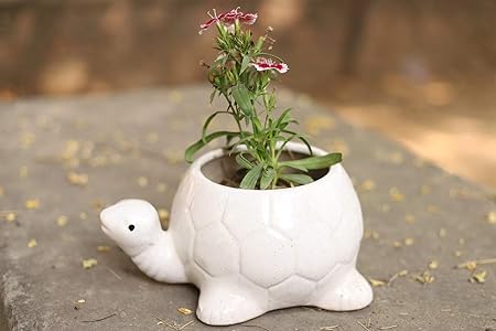 Lyallpur Stores Ceramic Planter Pot Turtle Shape - Medium (White Color, 10.5 cm) Plant Not Included