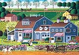 Buffalo Games - Charles Wysocki - Prairie Wind Flowers - 300 Large Piece Jigsaw Puzzle