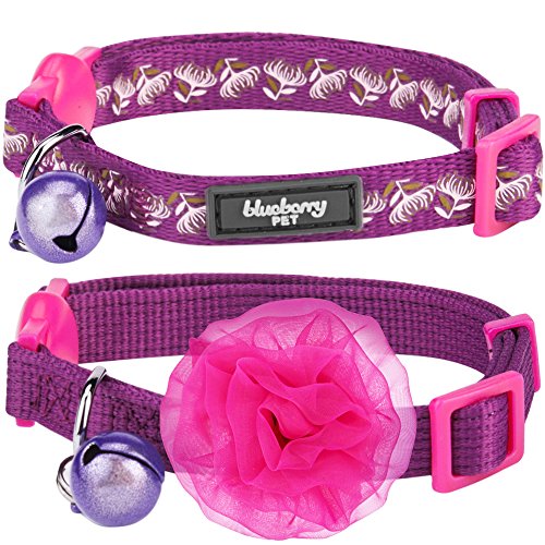 blueberry adjustable breakaway cat collar