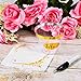 9oz Gold Rimmed Plastic Cups and Napkin Set (Pack of 60 Each) ~ Fancy Disposable Wine Glasses ~ Elegant Party Cups With Gold Rim ~ Includes 60 Cup Labels and 1 Marker