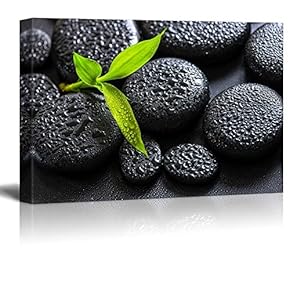 Rain Drops Over Black Rocks and a Little Green Plant