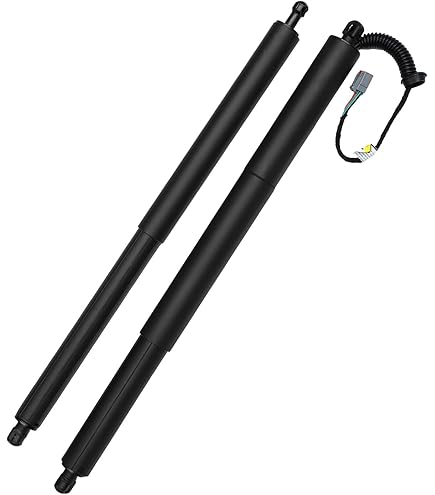 Amazon.com: BT4378402A55AL BT4Z78431A78B 1pcs Power Hatch