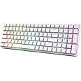 RK ROYAL KLUDGE RK100 2.4G Wireless/Bluetooth/Wired RGB Mechanical Keyboard, 100 Keys 3 Modes Connectable Hot Swappable Blue 