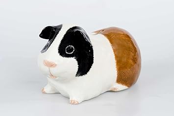 automatic wet food feeder