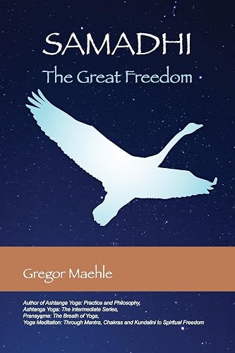 Download Samadhi The Great Freedom PDF