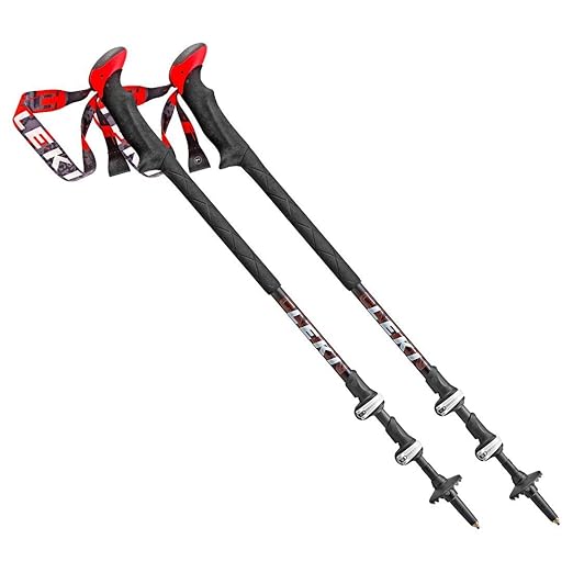 LEKI Carbon TiSystem