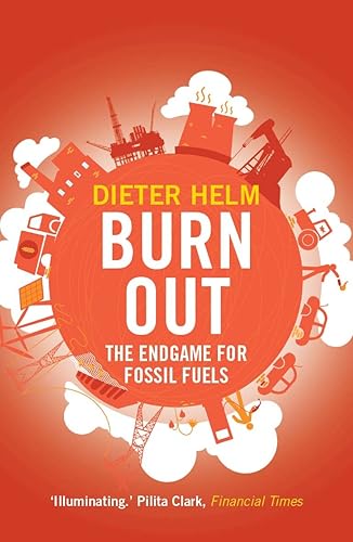 Download Burn Out: The Endgame for Fossil Fuels PDF