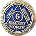 6 Month AA Medallion Reflex Blue Gold Plated Chip