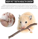 GoHoKi Apple Wood Chew Sticks for Small Animals 200g Rabbits Hamsters Guineapigs view 5