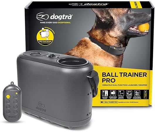 versatile k9 agility