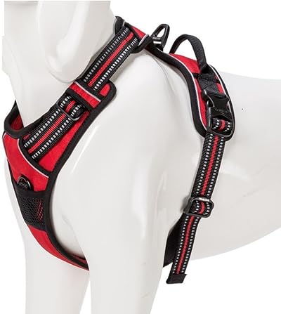 Truelove TLH5651 No-Pull Reflective Dog Harness Red Large