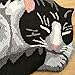USTIDE Black Cute Sleeping Cat Decor Doormat, Bedroom Non-Slip Area Rug,Tabby Cat Carpet 31.4