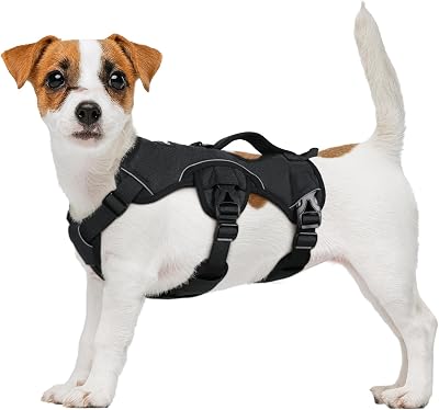 rabbitgoo Escape-Proof Small Dog Harness with Handle Reflective Black S