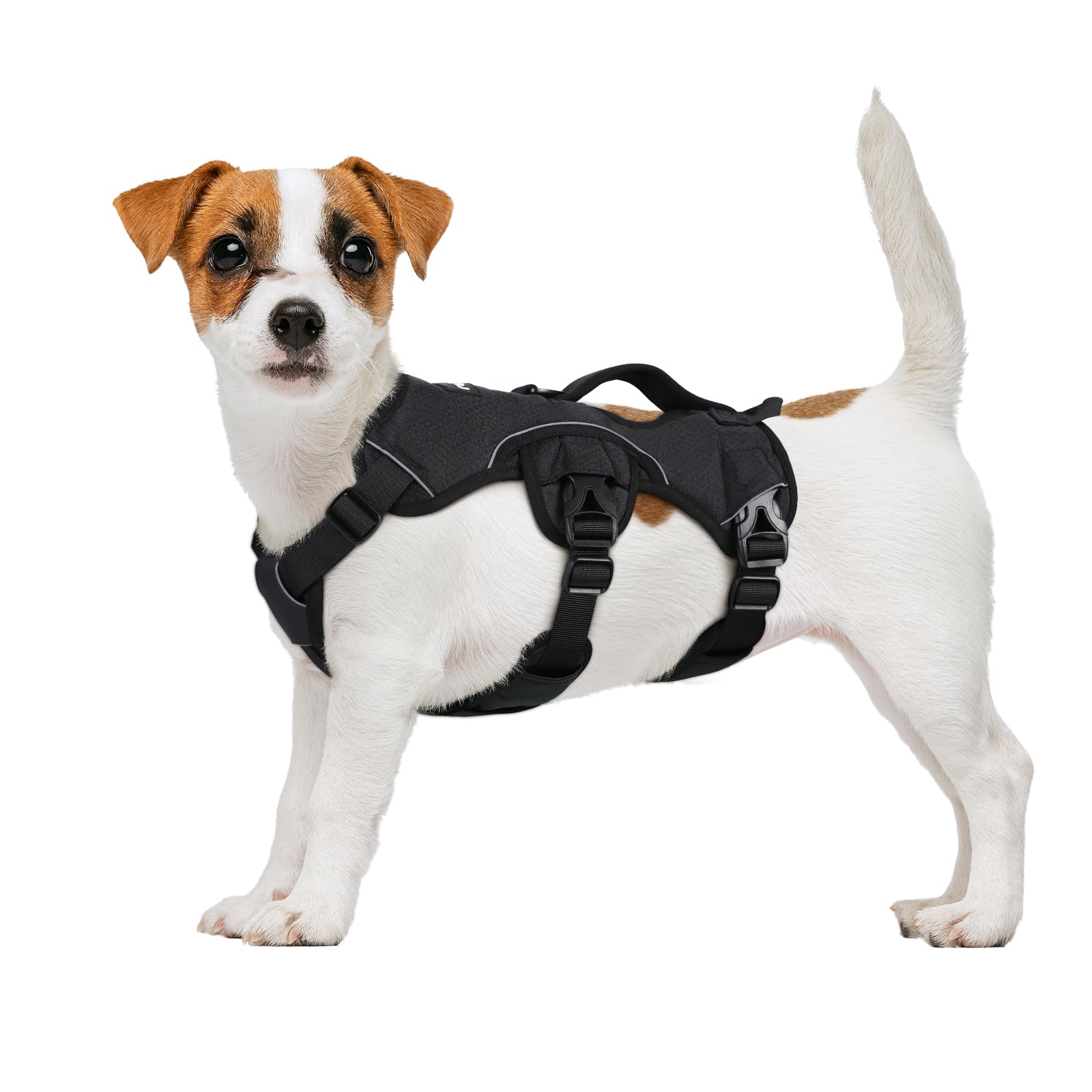 rabbitgoo Escape-Proof Dog Harness Small Dog with Handle, Anti-Pull Reflective Working Service Pets Vest, Breathable Pets Vest, Adjustable Lift Support Body Harness Outdoor, S, Black — image 1