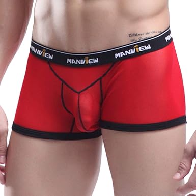 boxer semitransparente