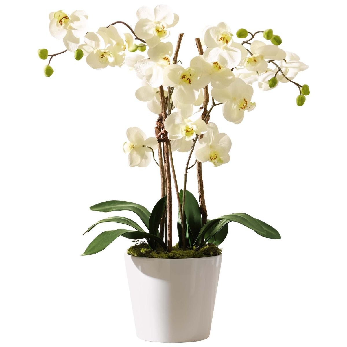 Pureday Artificial White Orchid in White Ceramic Pot 54 cm Amazon.co