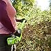 Greenworks 20-Inch 24V Cordless Pole Hedge Trimmer, 2.0 Battery Included 22242