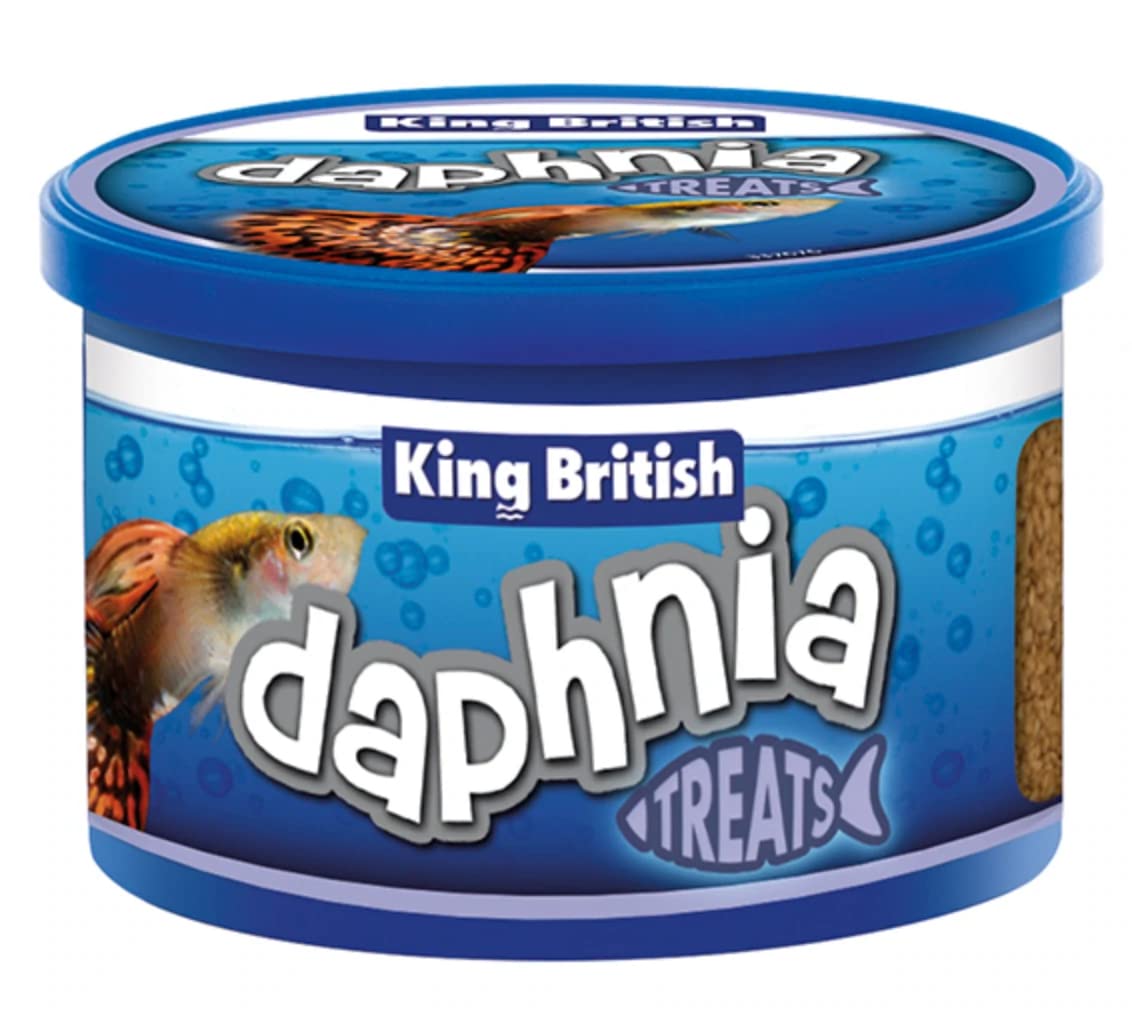 King British Daphnia Treats 18 g