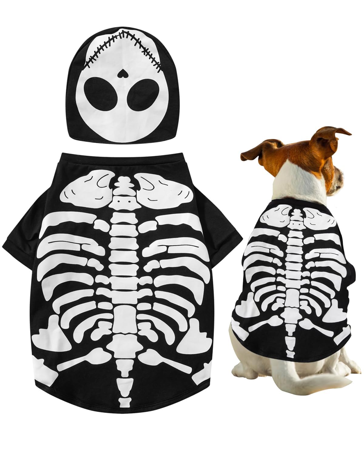 Photo 1 of Halloween Skeleton Costumes for Pets Dogs (Medium)